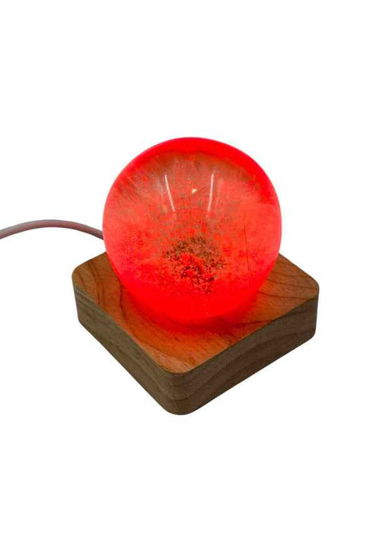 Kugellampe Pusteblume
